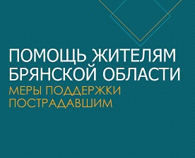 Помощь жителям Брянской области.