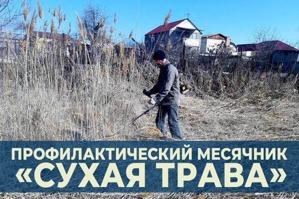 Укажите подпись к картинке.